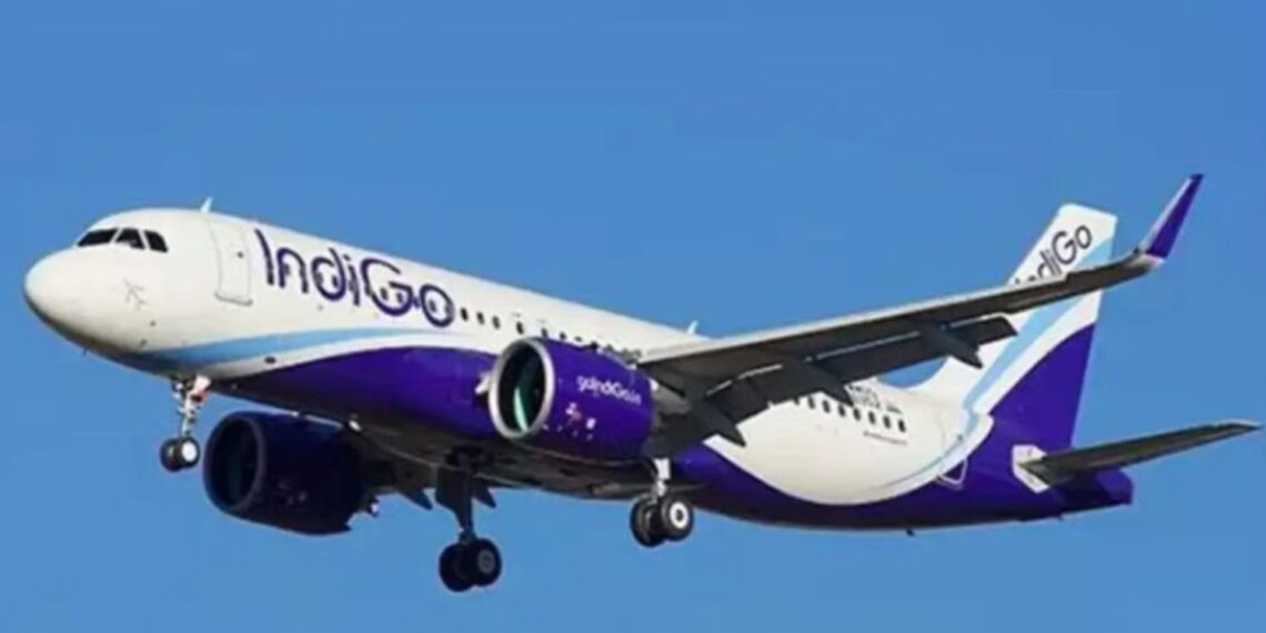 30 Flights Cancelled from Goa’s Dabolim Airport, Passengers Urged to Check Status Before Travel