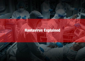 Hantavirus Explained: Rare Virus Linked to Cruise Ship Deaths Raises Global Concern